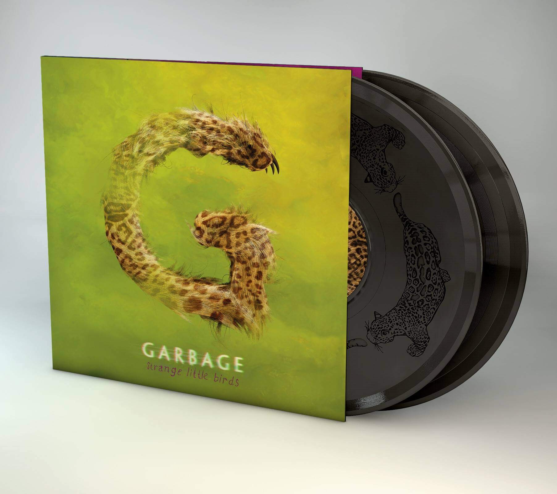Laser Etched LP | Garbage Disco Box | Garbage Disco Box | Strange ...